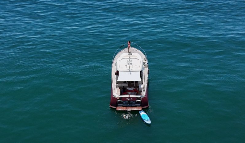 Mochi Craft 51 Dolphin full