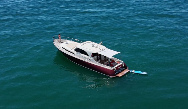 Mochi Craft 51 Dolphin full
