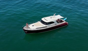 Mochi Craft 51 Dolphin full
